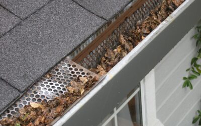 Home Maintenance Tips for Every Season
